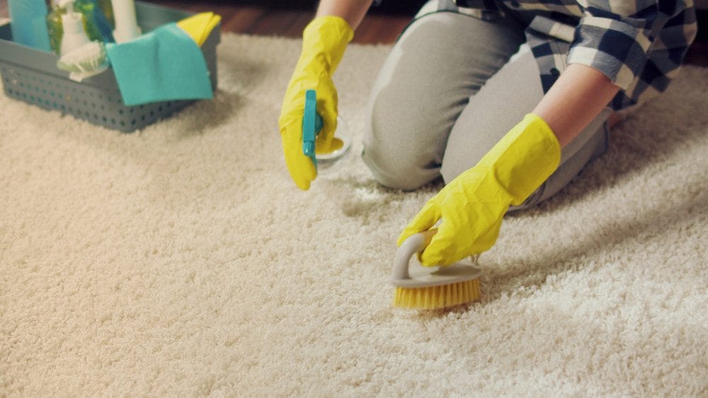 carpet cleaning