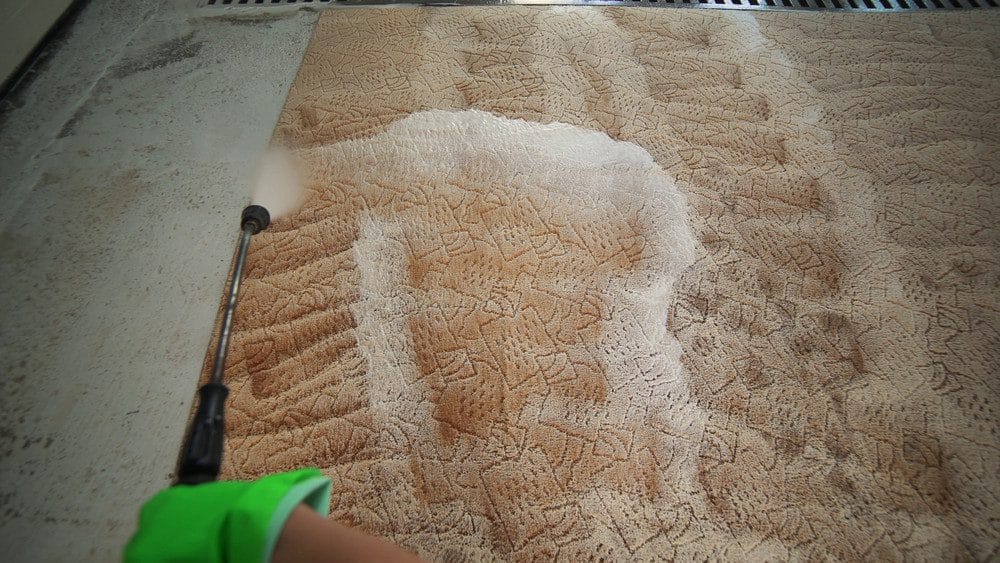 3 Reasons Your Carpet Still Smells After You Vacuum