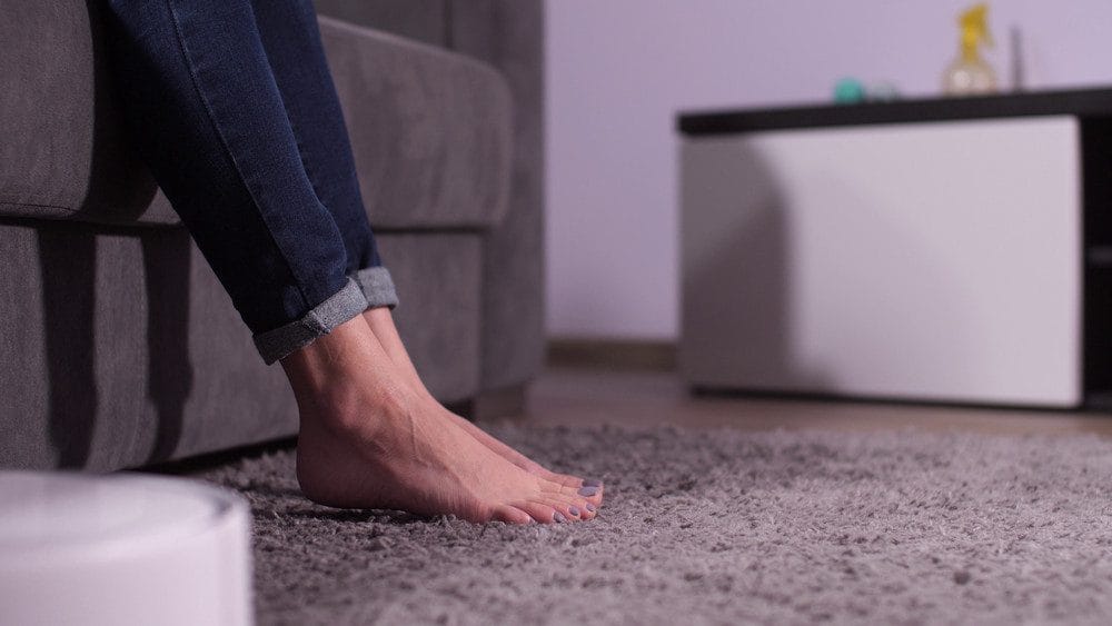 High-Traffic Revival: How to Keep Carpets and Area Rugs Looking Fresh Between Professional Cleanings